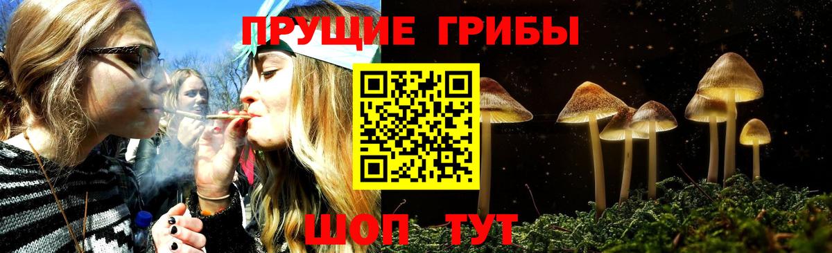 Псилоцибиновые грибы MAGIC MUSHROOMS Гудермес